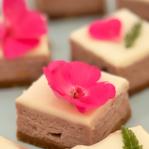 CHEESECAKE KOCKA 1